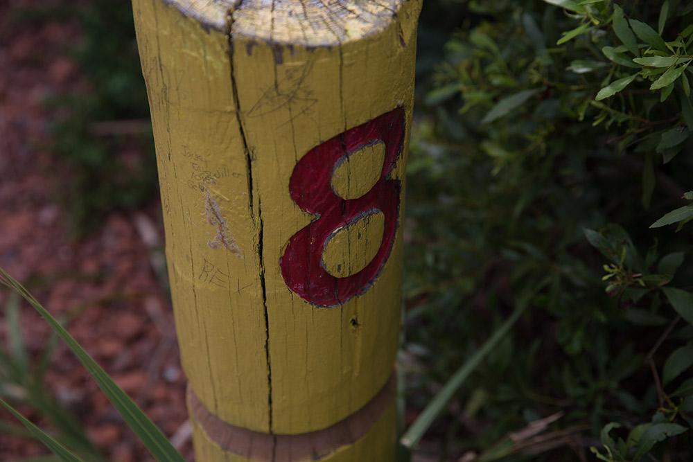myrtle beach mini golf course coupons