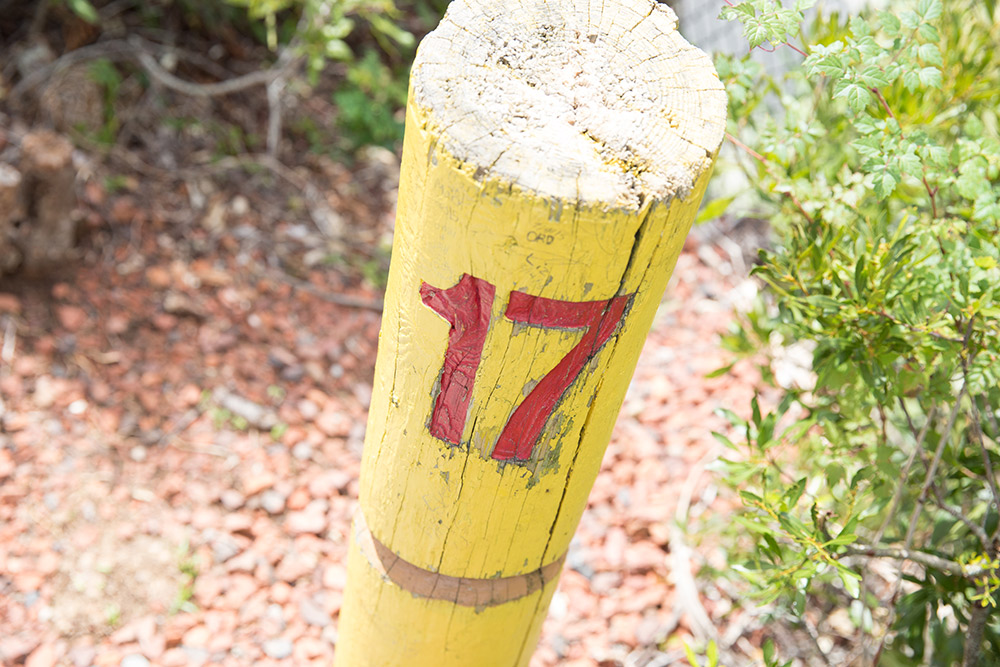 myrtle beach putt putt golf courses in sc